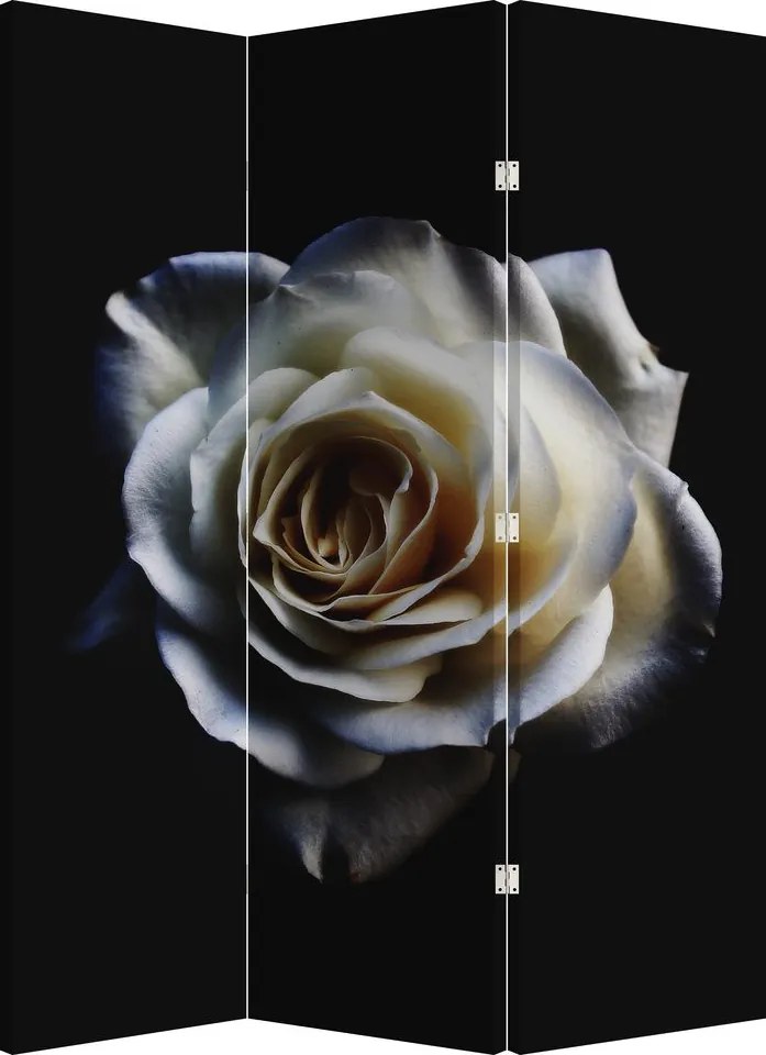 Parawan - Biała róża (126x170 cm)