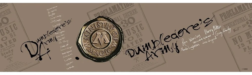 Dekoracyjny pas samoprzylepny Harry Potter, 500 x 9,7 cm