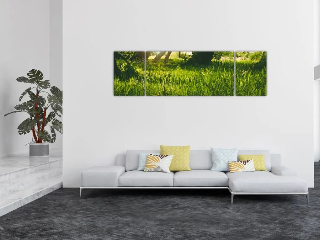 Obraz natury - łąka (170x50 cm)