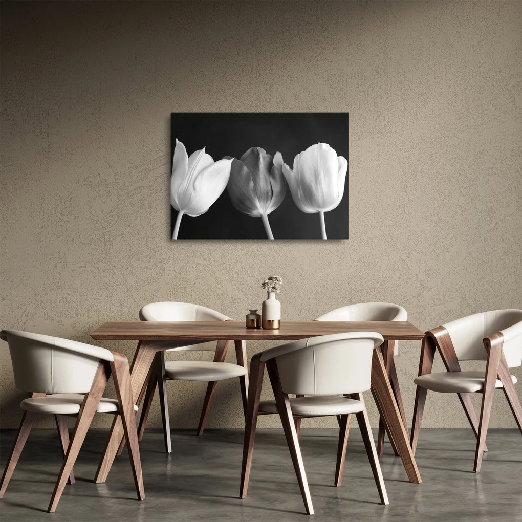 Obraz na szkle - Czarno - białe kwiaty tulipanów (70x50 cm)