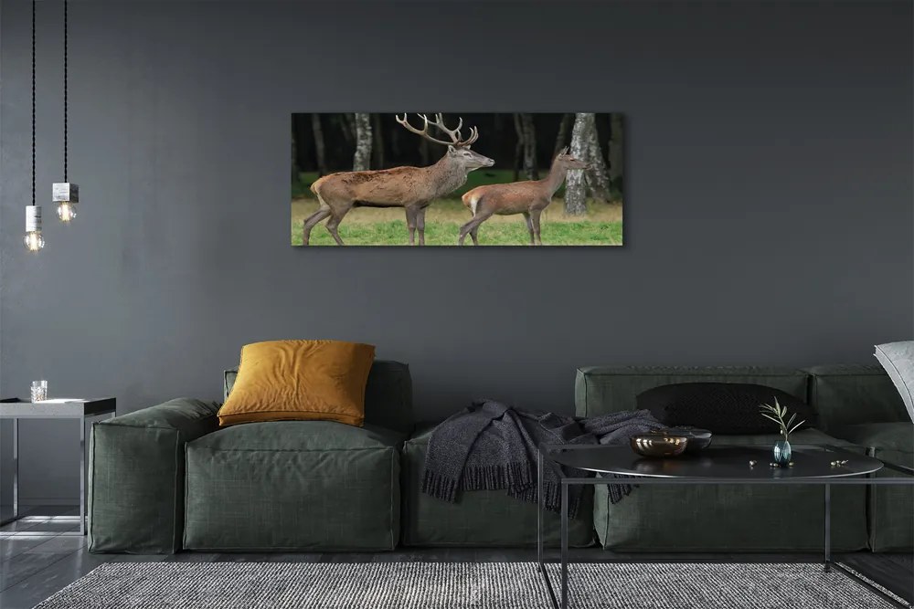 Fotoobraz na płótnie Król Lasu: Jeleń