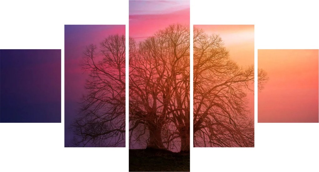 Obraz drzew we mgle (125x70 cm)