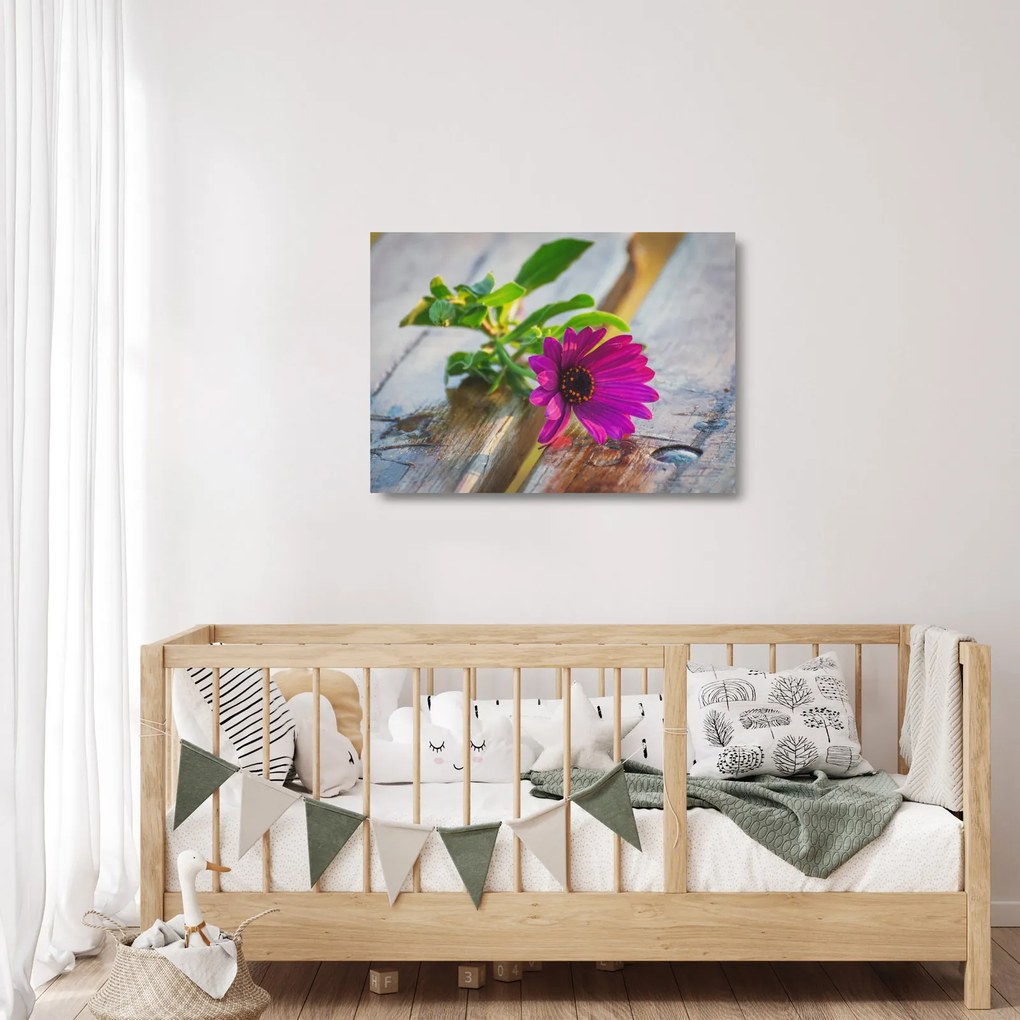 Obraz na szkle - cięty kwiat (70x50 cm)