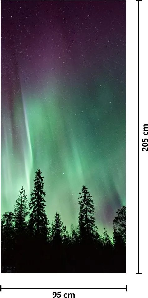 Fototapeta na drzwi - Zorza polarna (95x205cm)