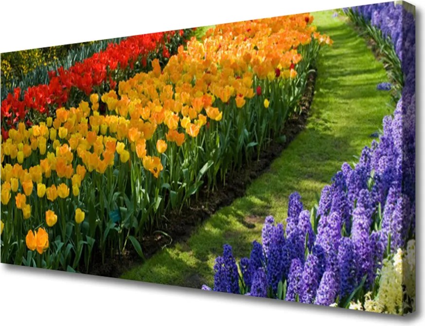 Fotoobraz na płótnie Delikatność Kwitnącej Orchidei