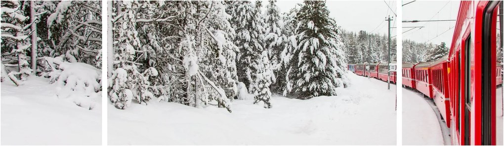 Obraz - Pociąg w zaśnieżonym krajobrazie (170x50 cm)