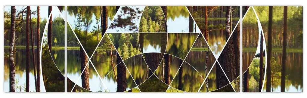 Obraz - Geometryczny kolaż na tle nordyckich lasów (170x50 cm)