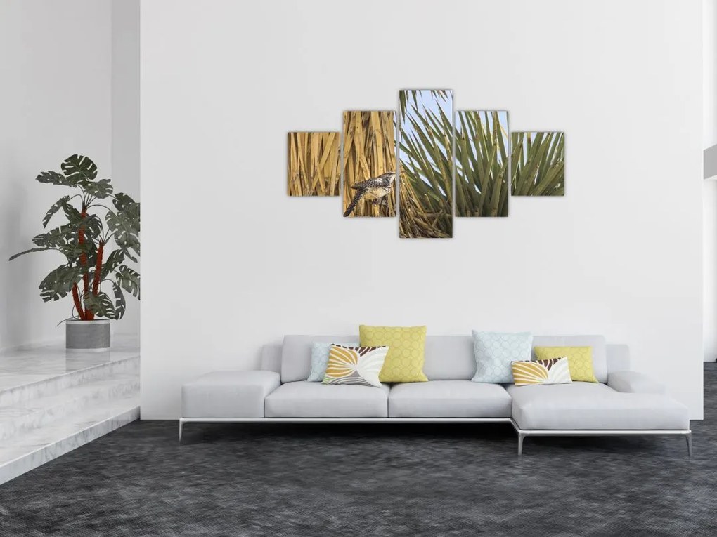 Obraz - Strzyżyk (125x70 cm)
