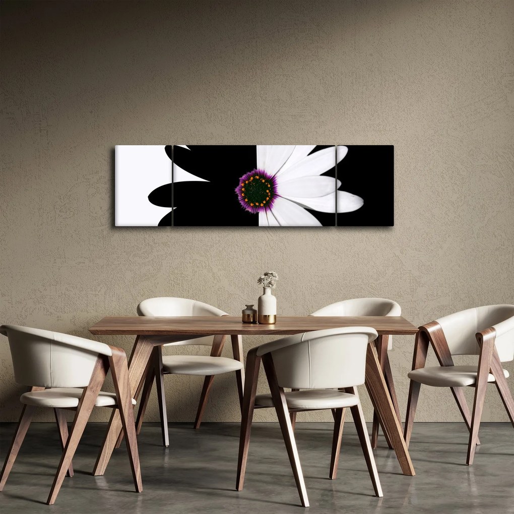 Obraz czarno - białego kwiatu (170x50 cm)