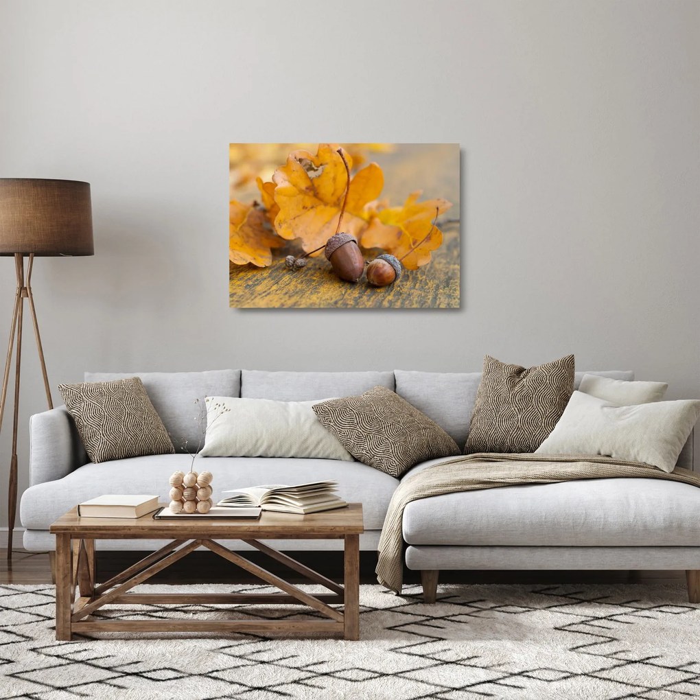 Obraz na szkle - Jesienne żołędzie (70x50 cm)