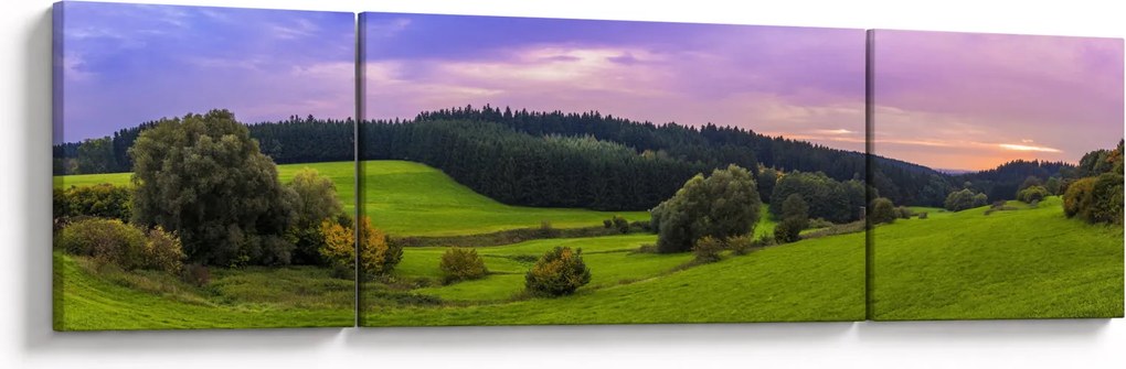 Obraz łąki (170x50 cm)
