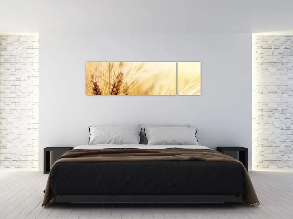 Obraz - szczegóły ziarna (170x50 cm)