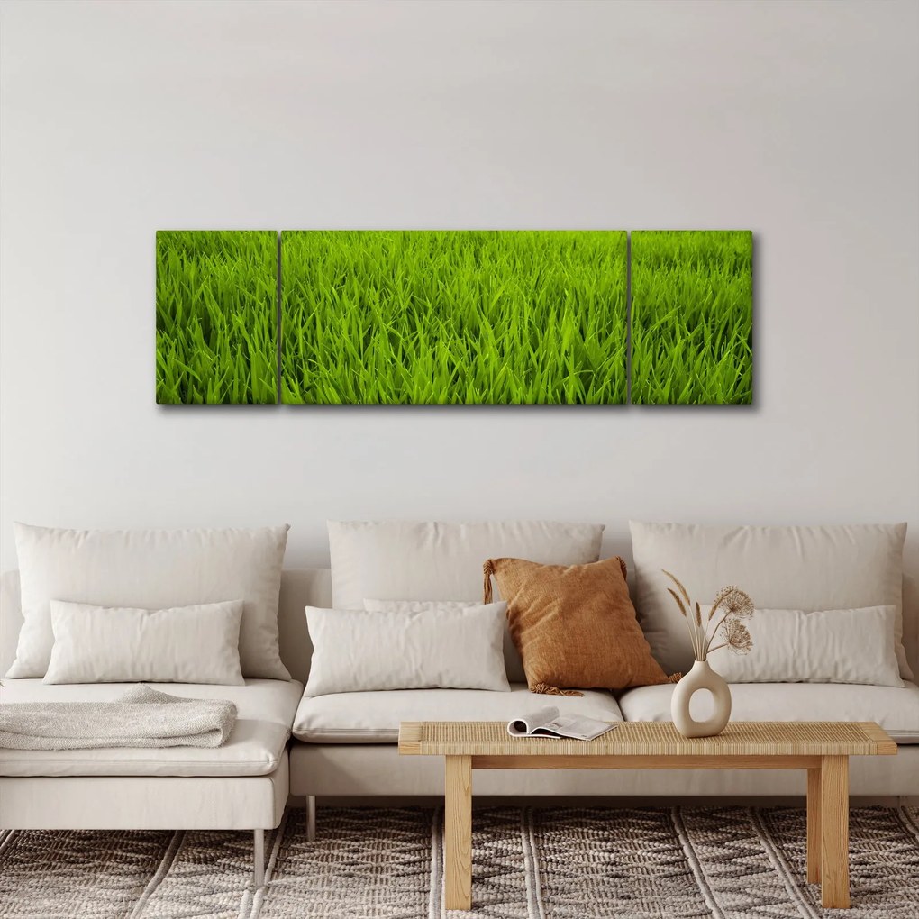 Obraz trawy (170x50 cm)