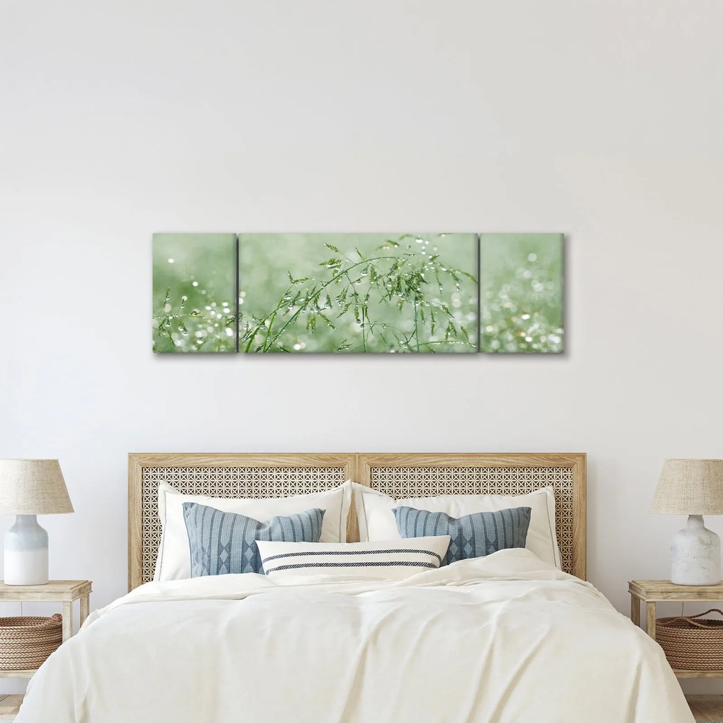 Obraz - Rosa na trawie (170x50 cm)