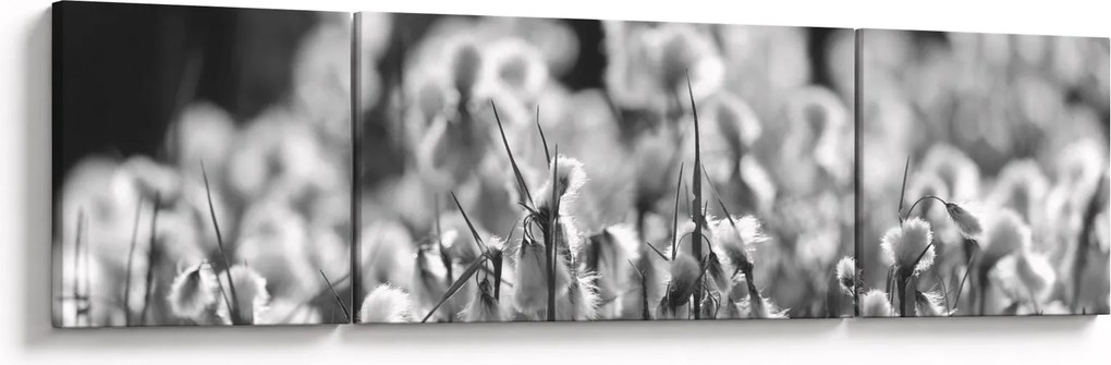 Obraz - Letnia łąka (170x50 cm)