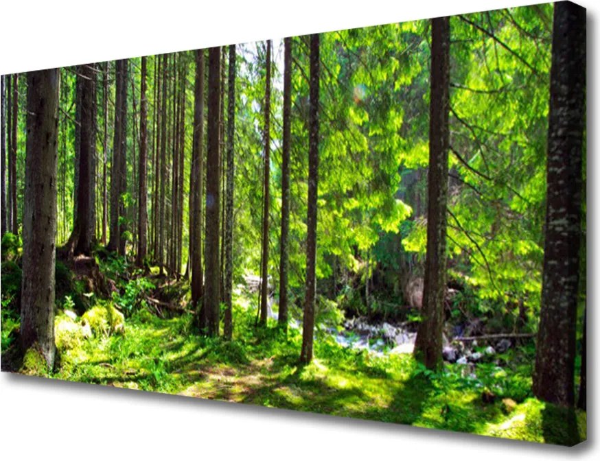 Obraz drukowany na płótnie Gęstwina Leśnej Natury