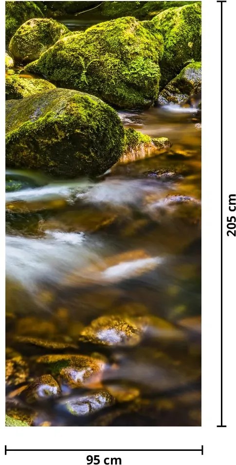 Fototapeta na drzwi - Strumień (95x205cm)