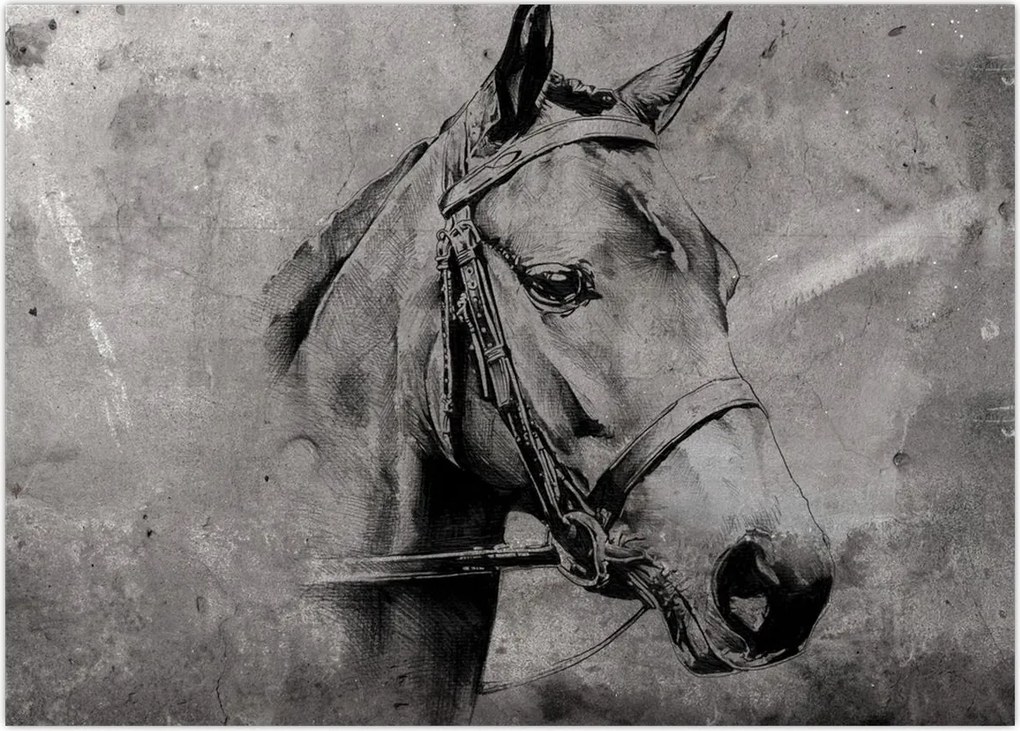 Obraz na szkle - Portret konia (70x50 cm)