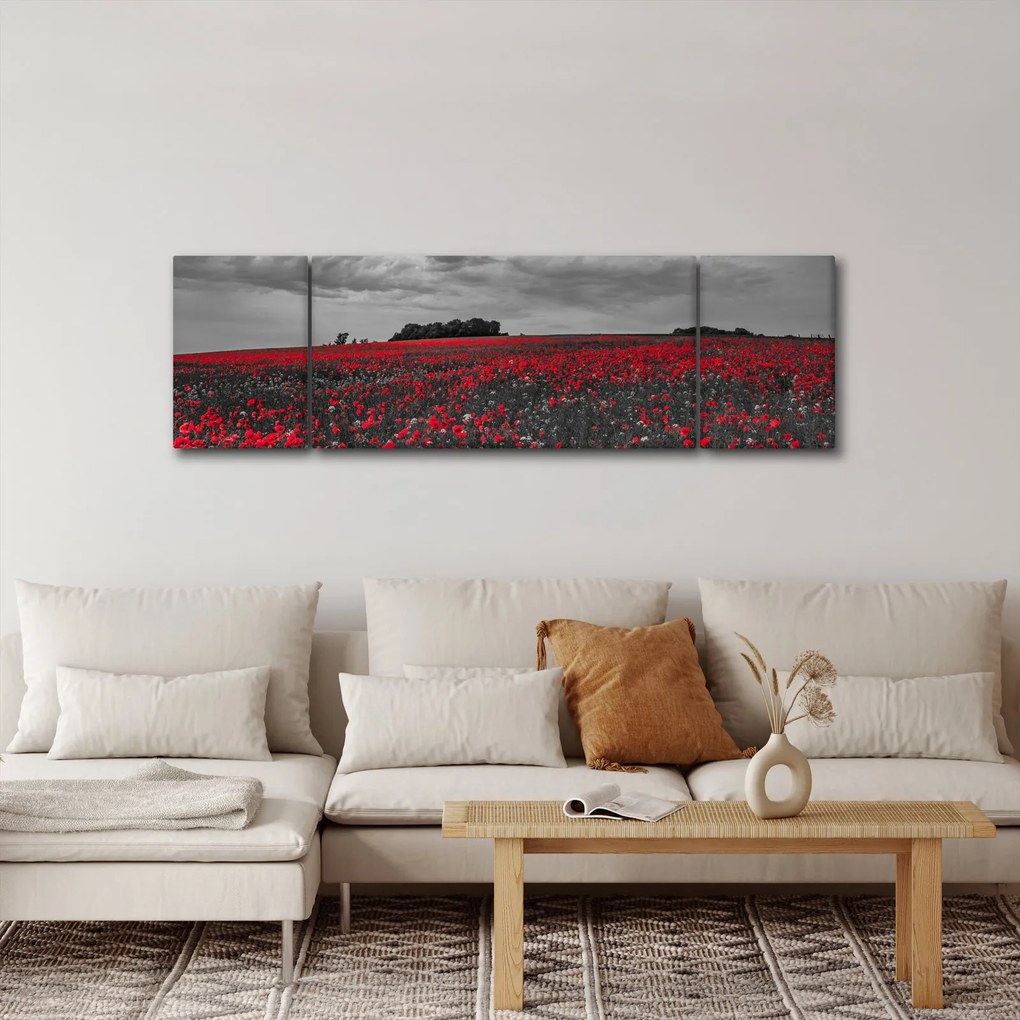 Obraz maków (170x50 cm)