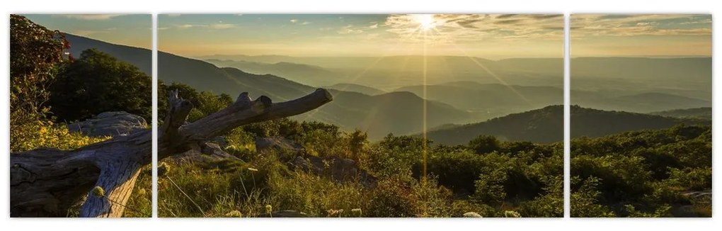 Obraz - Widok na otoczenie (170x50 cm)