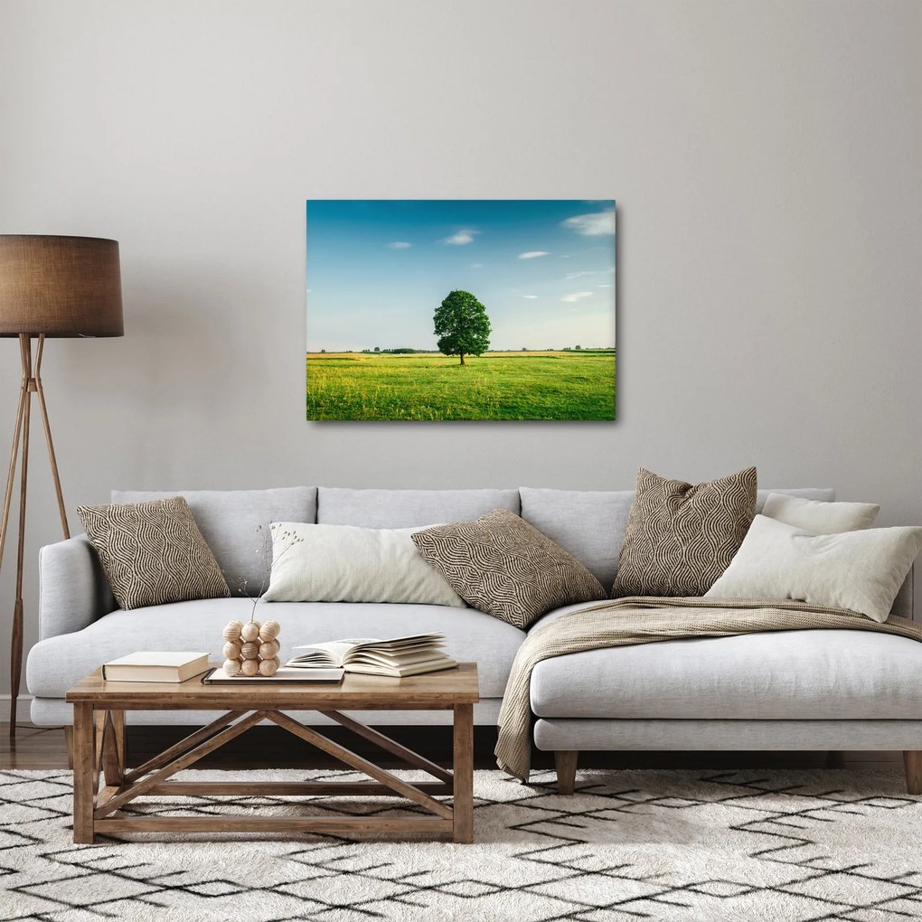 Obraz drzewa na środku łąki (70x50 cm)