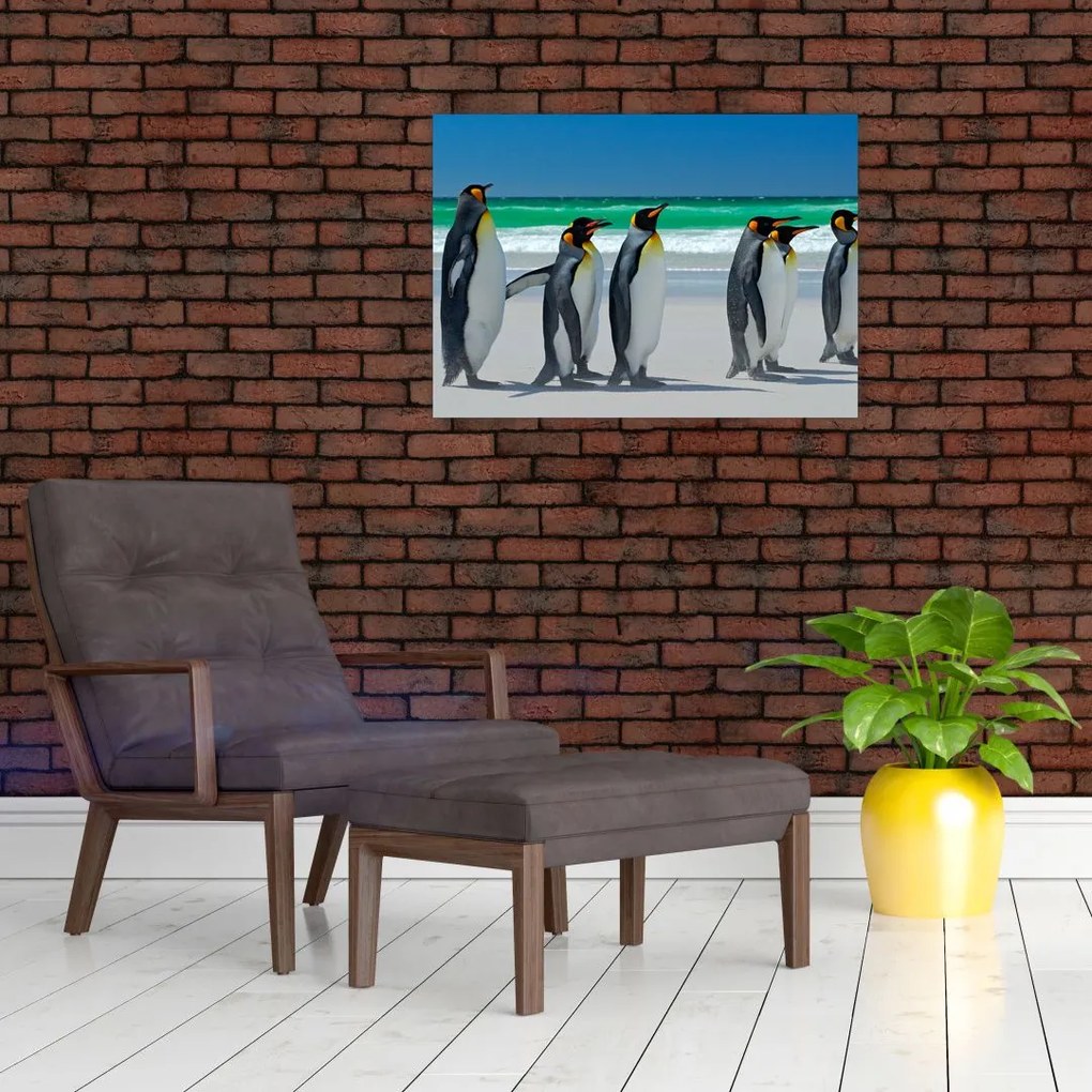 Obraz na szkle - Grupa Pingwinów królewskich (70x50 cm)