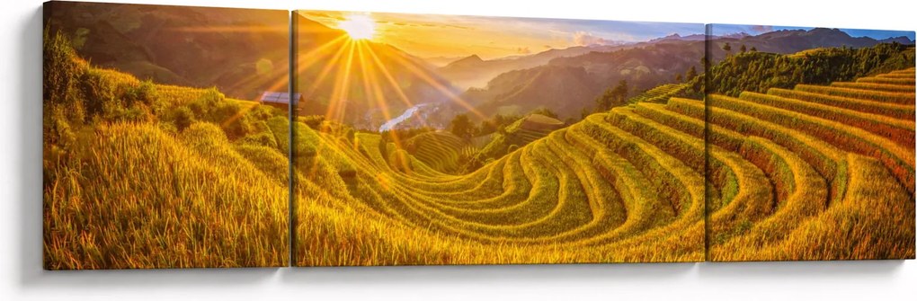 Obraz - Pole ryżowe w Wietnamie (170x50 cm)