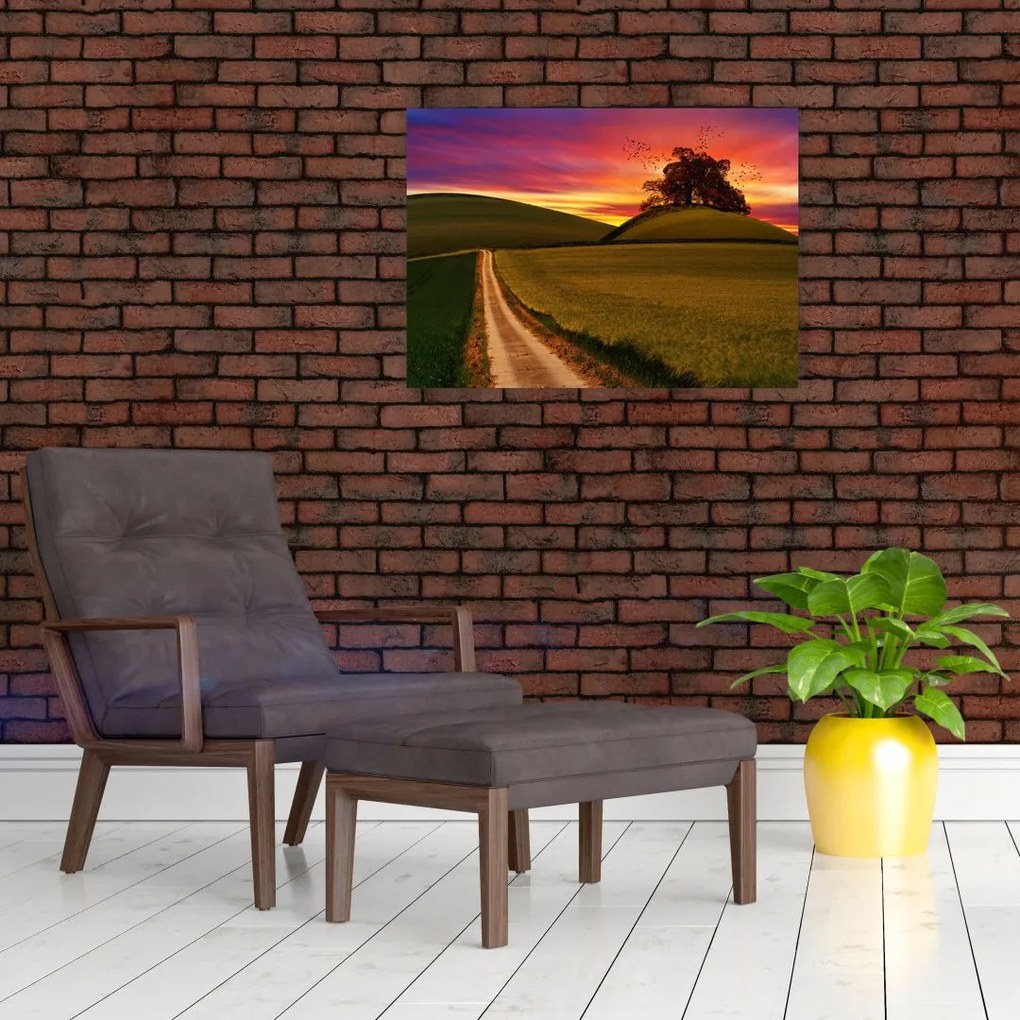 Obraz na szkle - pole i kolorowe niebo (70x50 cm)