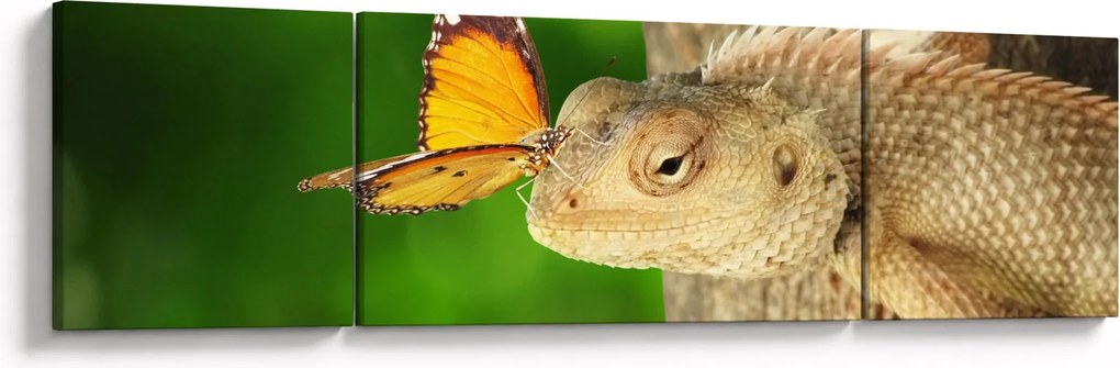 Obraz - Jaszczurka (170x50 cm)