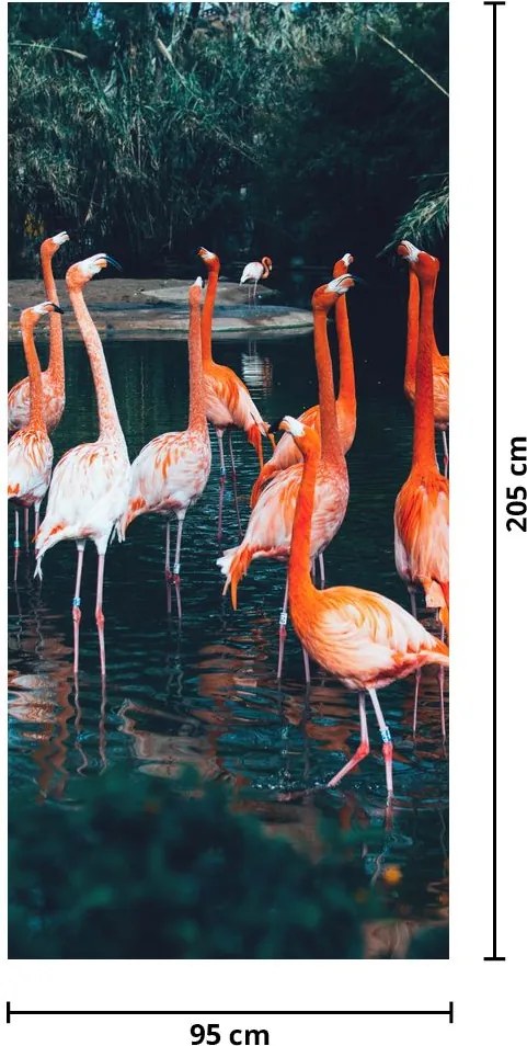 Fototapeta na drzwi - Stada flamingów (95x205cm)