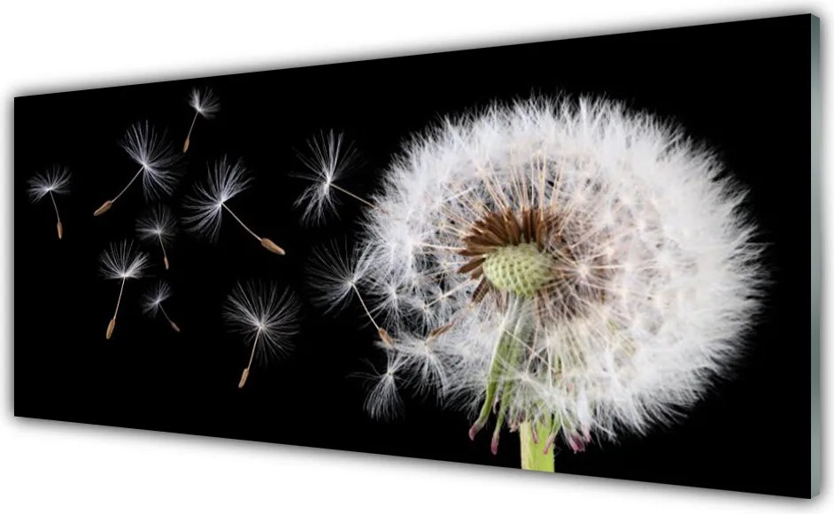 Szkło do Kuchni na Ścianę Puszysty Mniszek Lekarski