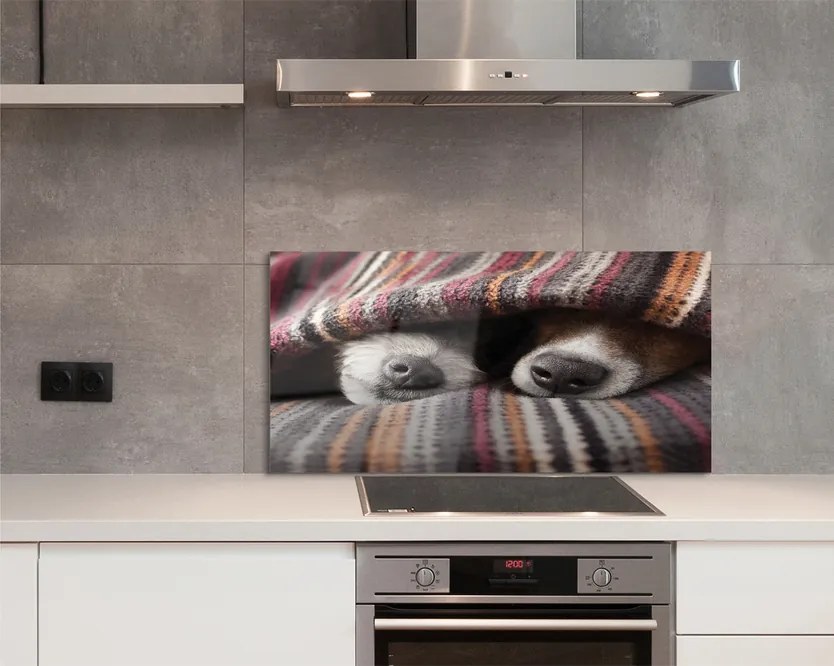 Panel Kuchenny Szklany Słodki Sen Zmęczonych Psów