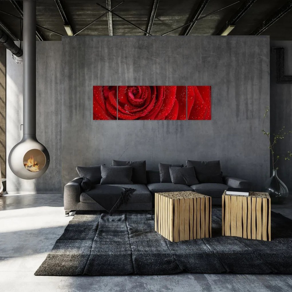 Obraz - szczegół róży (170x50 cm)
