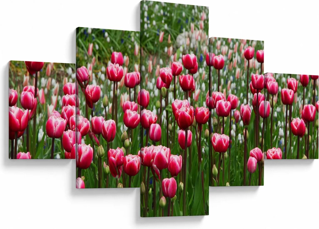 Obraz tulipanów (125x70 cm)