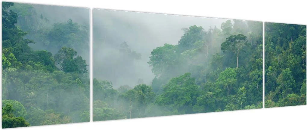 Obraz - Poranna mgła (170x50 cm)