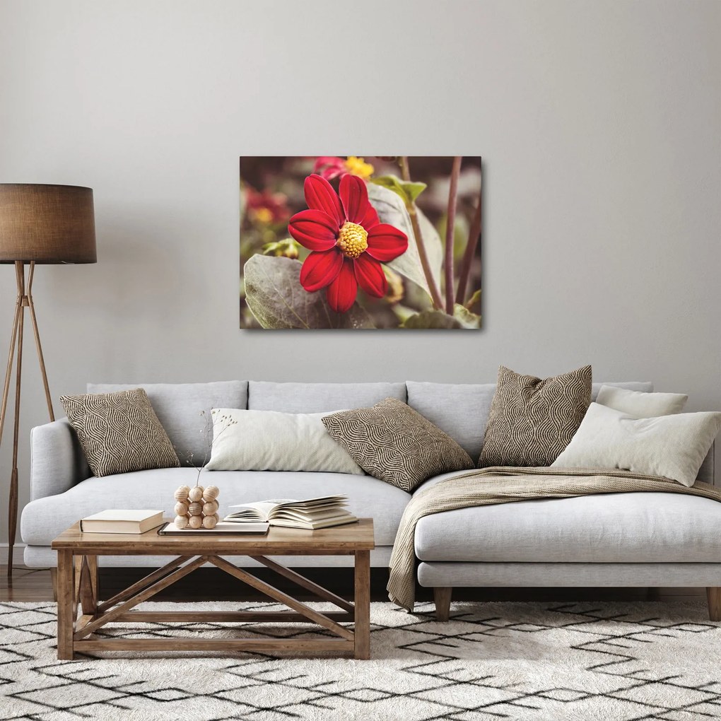 Obraz kwiatu (70x50 cm)