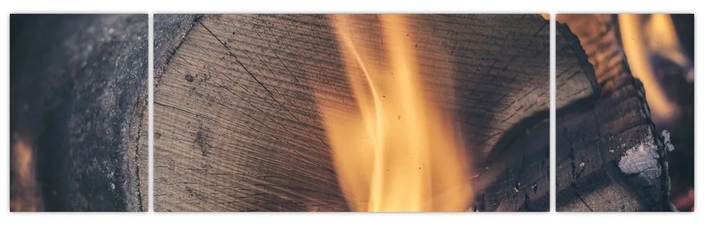 Obraz płonącego drewna (170x50 cm)