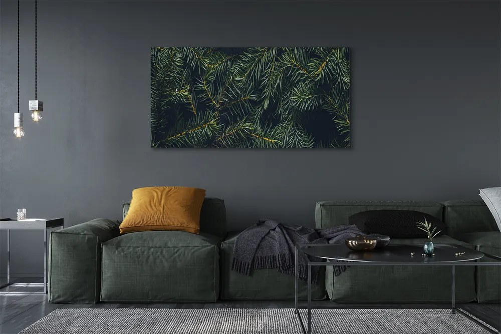 Zdjęcie na płótnie Gałązki i Choinka
