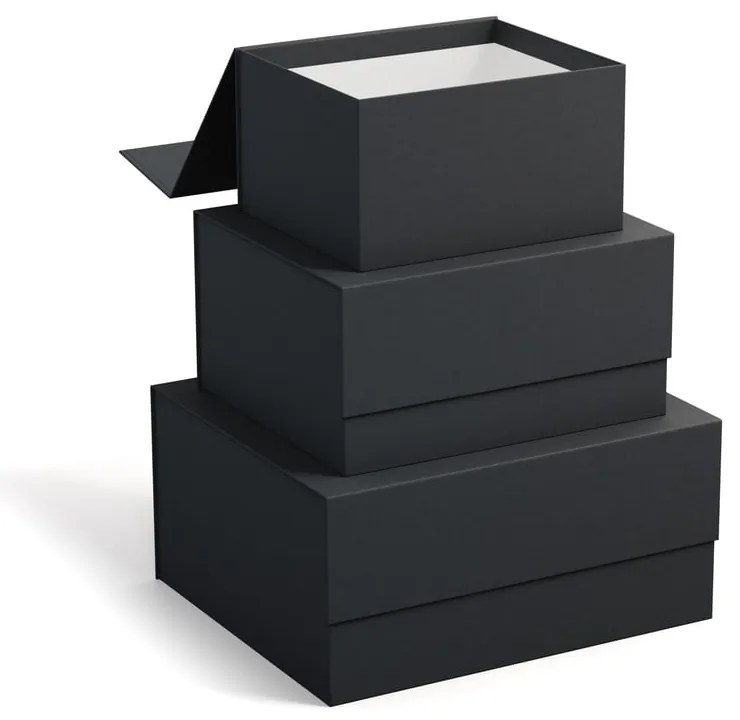 Kartonowe pojemniki z pokrywką zestaw 3 szt. Ilse – Bigso Box of Sweden