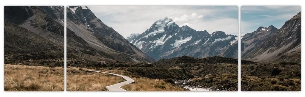 Obraz - Chodnik w dolinie góry Mt. Cook (170x50 cm)