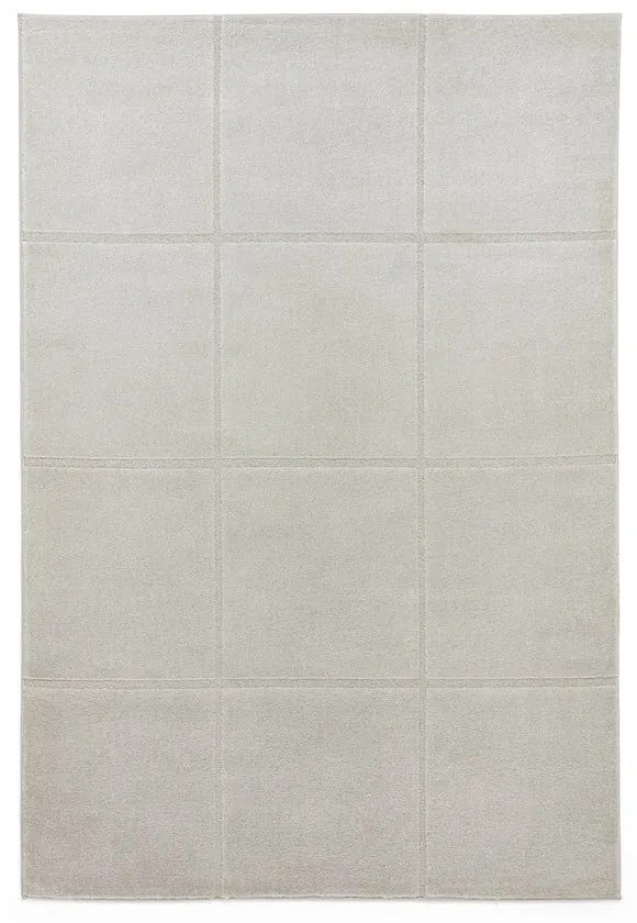 Jasnoszary dywan 200x290 cm Elio Silver – Think Rugs