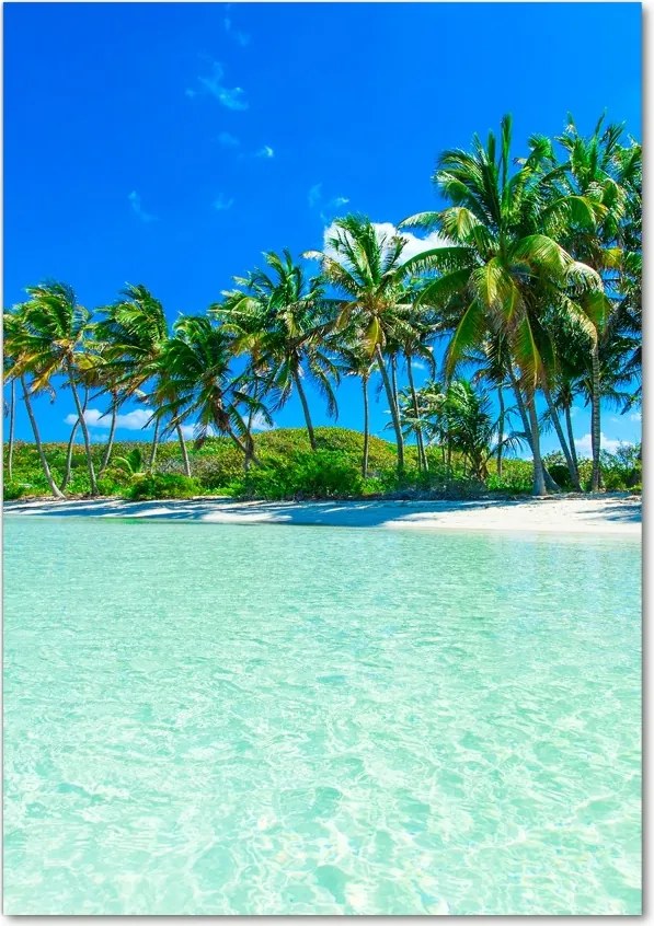 Foto obraz szklany pionowy Tropikalna plaża