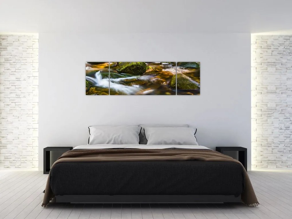 Obraz strumienia (170x50 cm)
