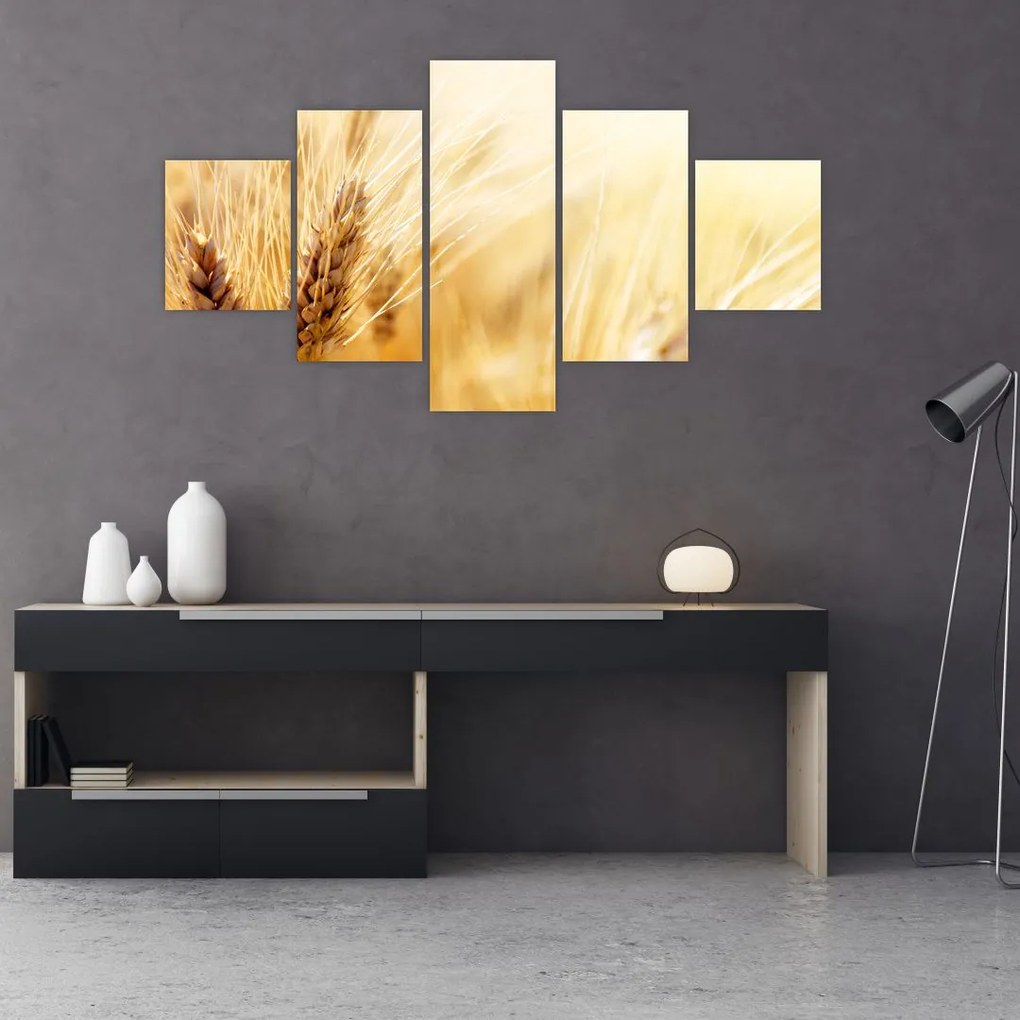 Obraz - szczegóły ziarna (125x70 cm)