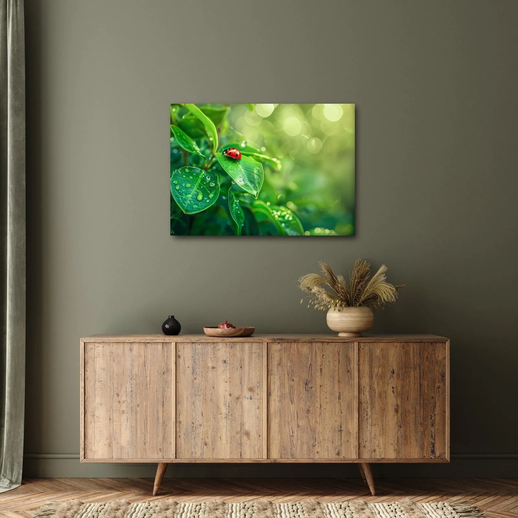 Obraz - Biedronka (70x50 cm)