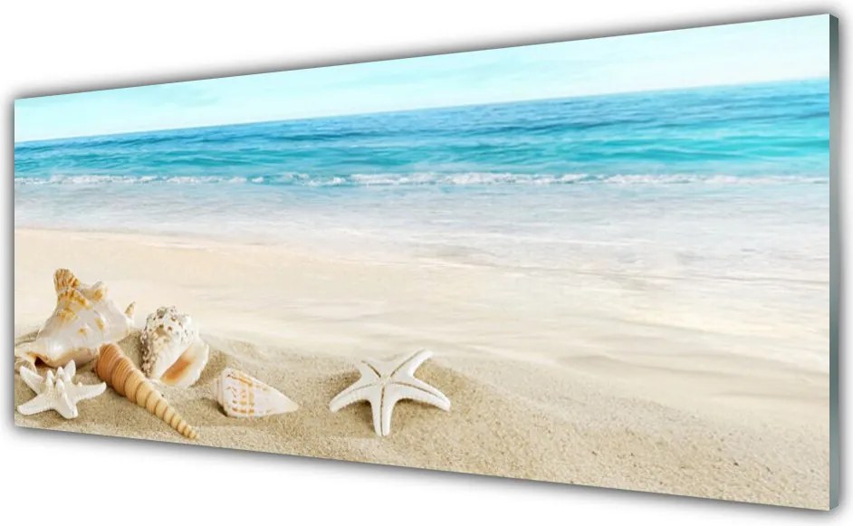 Panel nad blat kuchenny Nadmorskie Skarby Oceanu