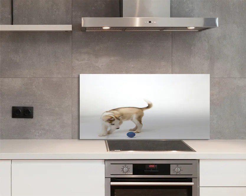 Panel szklany do Kuchni Radosna Zabawa Psa