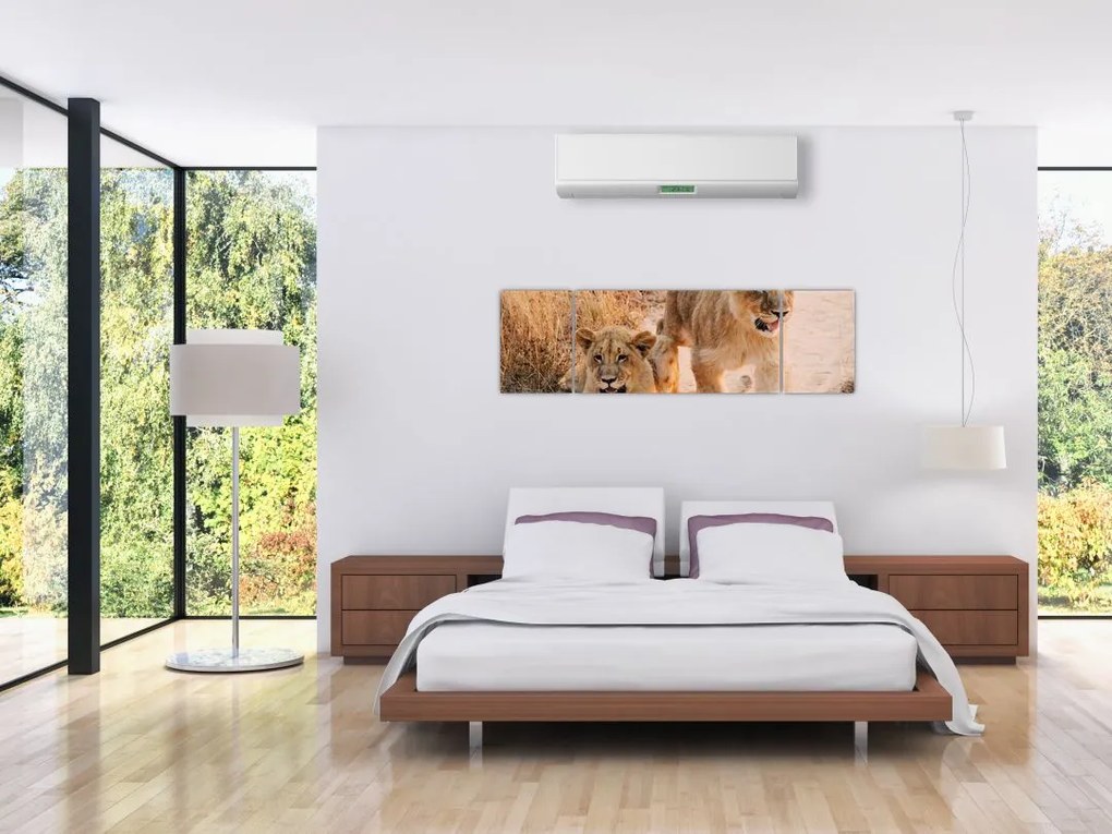 Obraz - Lwiątka (170x50 cm)