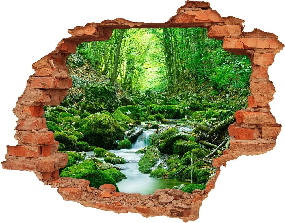 naklejka fototapeta 3D widok Strumień w lesie