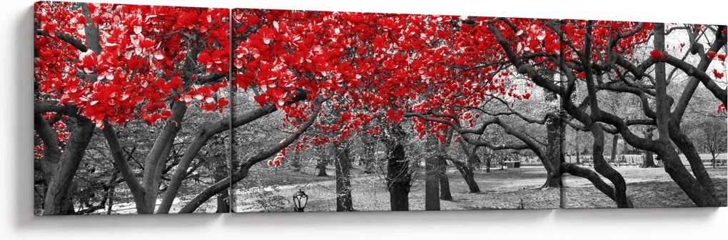 Obraz - Czerwone drzewa, Central Park, New York (170x50 cm)